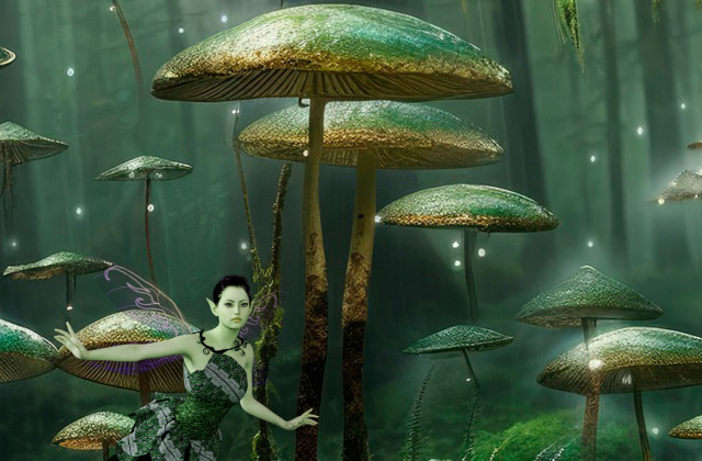 imagen libro
